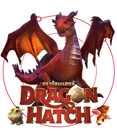 dragon hacth